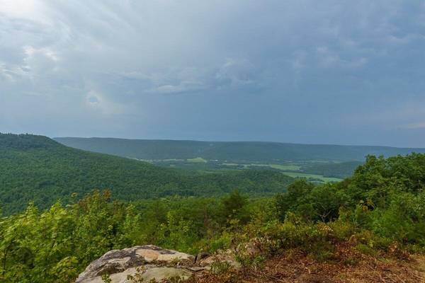 0 Crockett Point, Jasper, TN 37347
