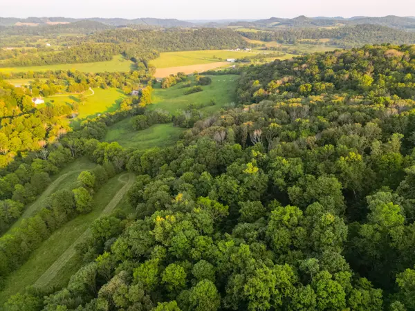 0 John Donald Lane, Brush Creek, TN 38547