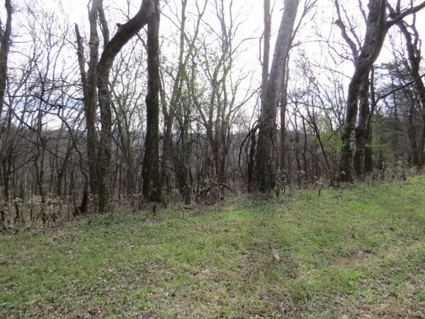 958 dollar hollow road, Pulaski, TN 38478