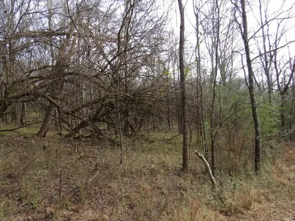 958 dollar hollow road, Pulaski, TN 38478