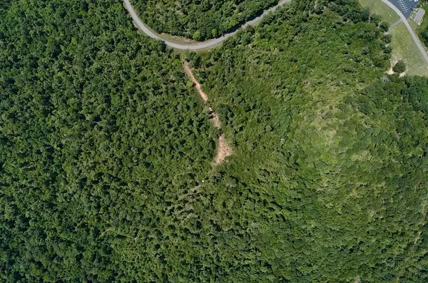 0 Mouse Tail Rd, Parsons, TN 38363