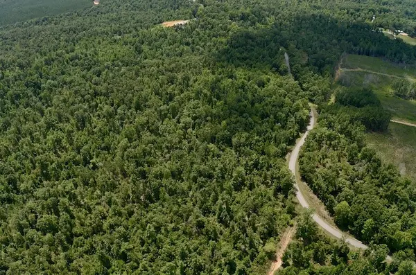 0 Mouse Tail Rd, Parsons, TN 38363