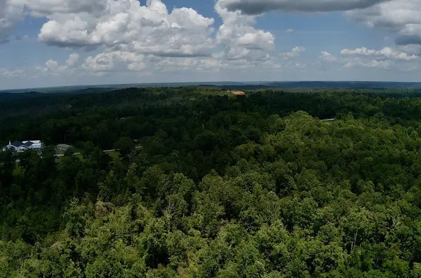 0 Mouse Tail Rd, Parsons, TN 38363