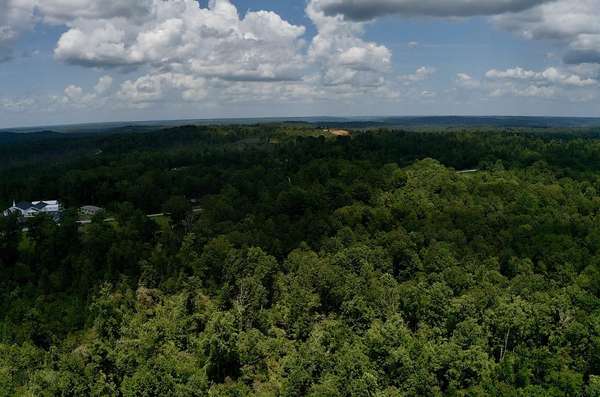 0 Mouse Tail Rd, Parsons, TN 38363