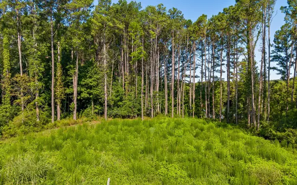 67 Clubhouse Drive, Jasper, TN 37347