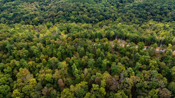 352 Briarwood Dr, Linden, TN 37096