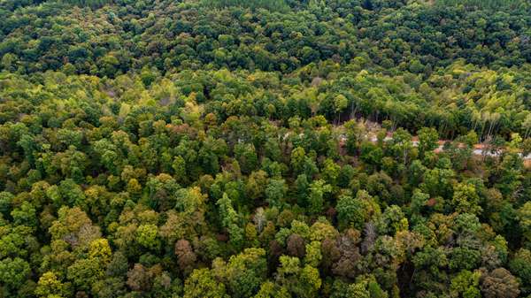 352 Briarwood Dr, Linden, TN 37096