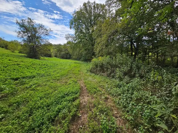 0 Highway 96, Buffalo Valley, TN 38548