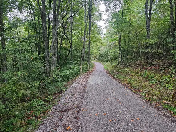 0 Sells Cemetery Road, Wilder, TN 38589