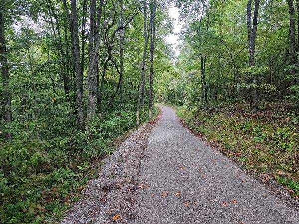 0 Sells Cemetery Road, Wilder, TN 38589
