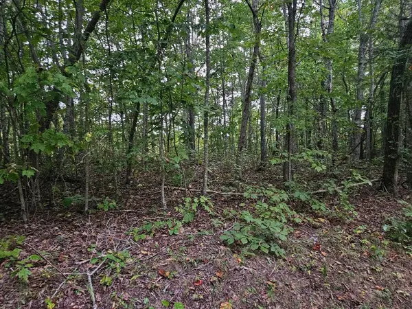 0 Sells Cemetery Road, Wilder, TN 38589