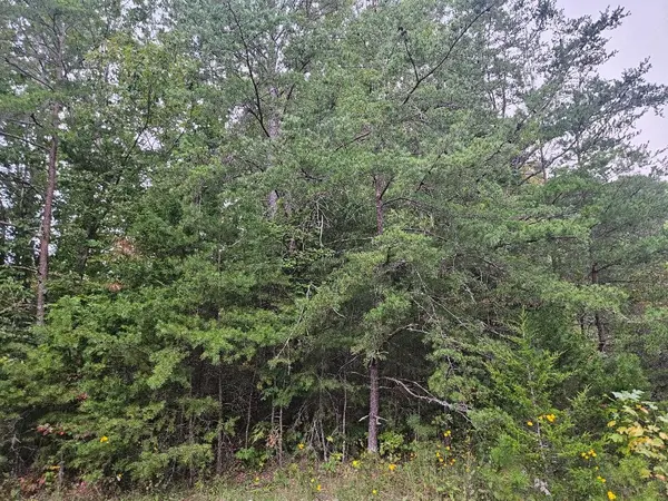 0 Sells Cemetery Road, Wilder, TN 38589