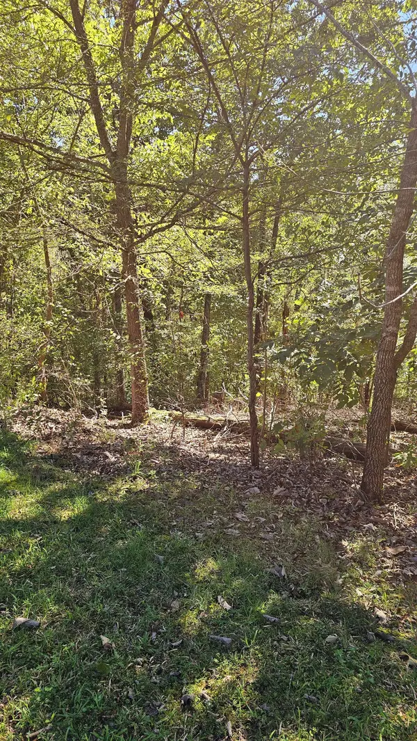 0 Big Richland Drive, Waverly, TN 37185