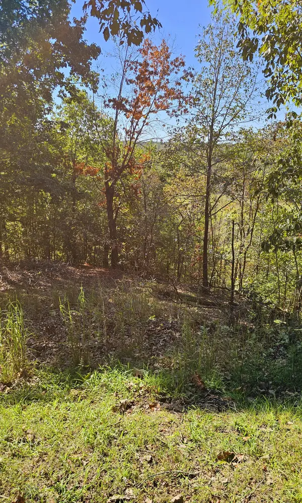 0 Big Richland Drive, Waverly, TN 37185