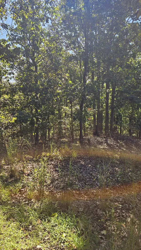 0 Big Richland Drive, Waverly, TN 37185
