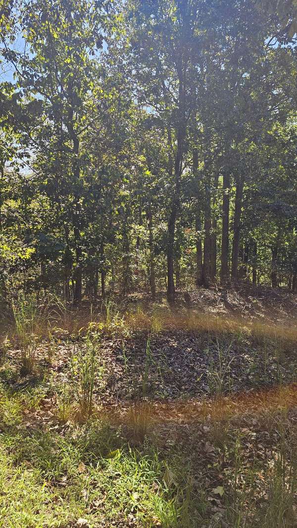 0 Big Richland Drive, Waverly, TN 37185