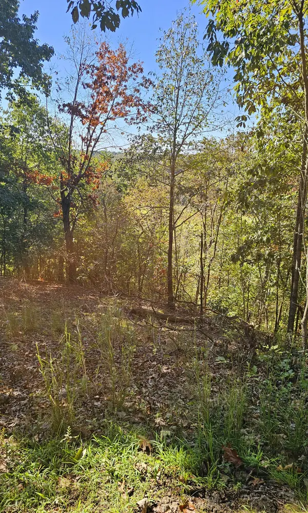 0 Big Richland Drive, Waverly, TN 37185