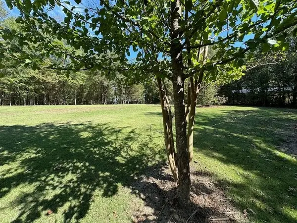 0 Sales Landing Rd, Camden, TN 38320