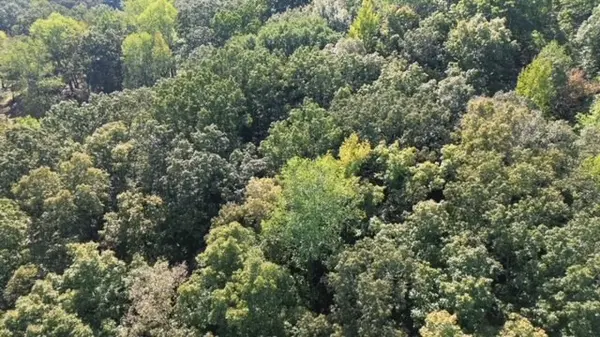0 Chalk Hill Church Rd, Camden, TN 38320