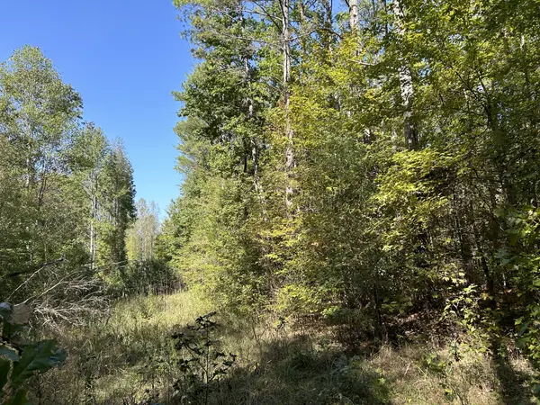 0 Camp Rd, Hohenwald, TN 38462