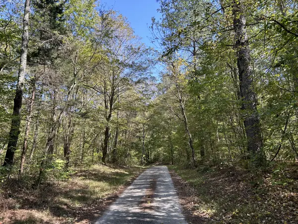 0 Camp Rd, Hohenwald, TN 38462