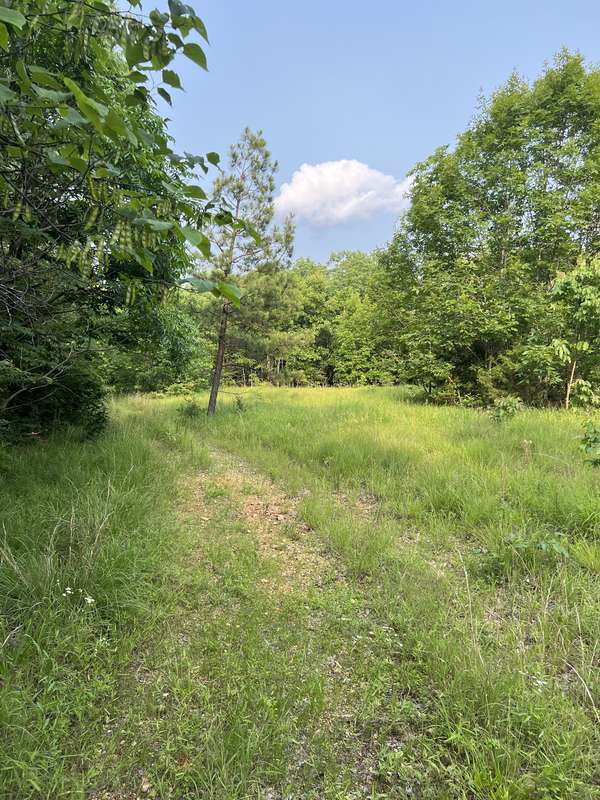 1 Cane Creek Road, Hohenwald, TN 38462