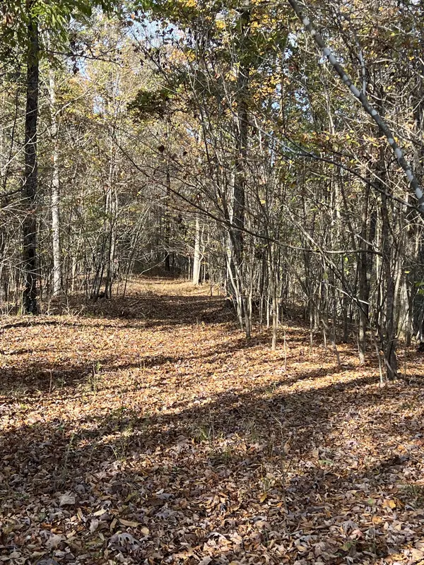 1 Cane Creek Road, Hohenwald, TN 38462