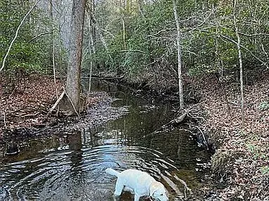 11 Camp Creek Rd, Spencer, TN 38585