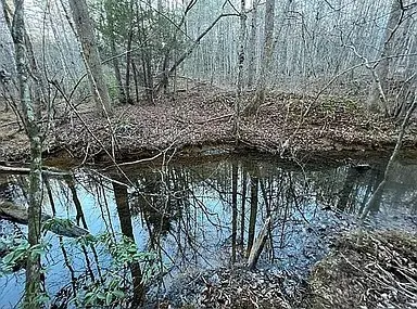 11 Camp Creek Rd, Spencer, TN 38585