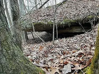11 Camp Creek Rd, Spencer, TN 38585