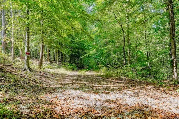 0 Bolestown Loop Lot 1, Alpine, TN 38543