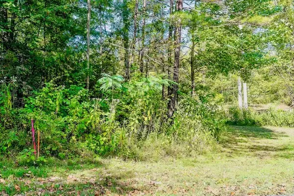 0 Bolestown Loop Lot 4, Alpine, TN 38543