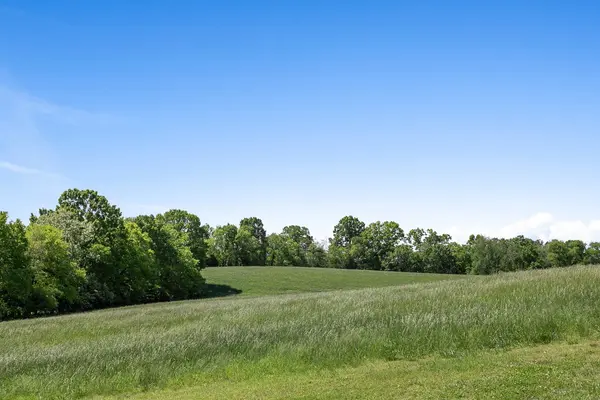 7631 Nolensville Rd, Nolensville, TN 37135