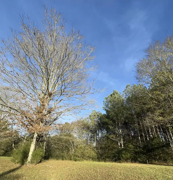 0 Georgetown Road #NW, Cleveland, TN 37312