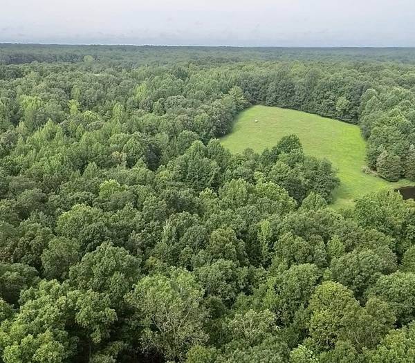 5128 Louise Rd, Cumberland Furnace, TN 37051