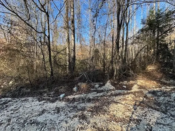 0 Sawyers Mill Rd, Camden, TN 38320