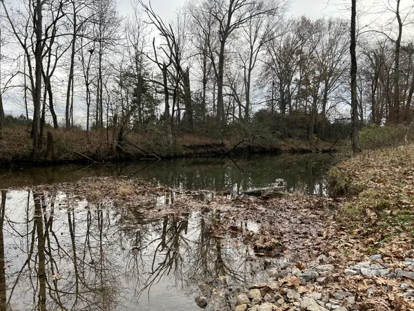 1 Pyles Rd, Chapel Hill, TN 37034