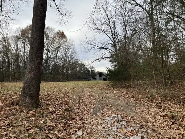 1 Pyles Rd, Chapel Hill, TN 37034
