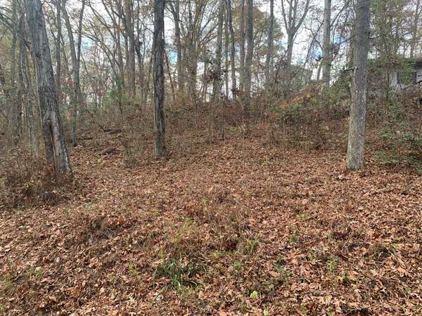 160 Trailer Rd, Springville, TN 38256