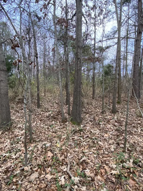 1434 Key Corner St Ext, Brownsville, TN 38012