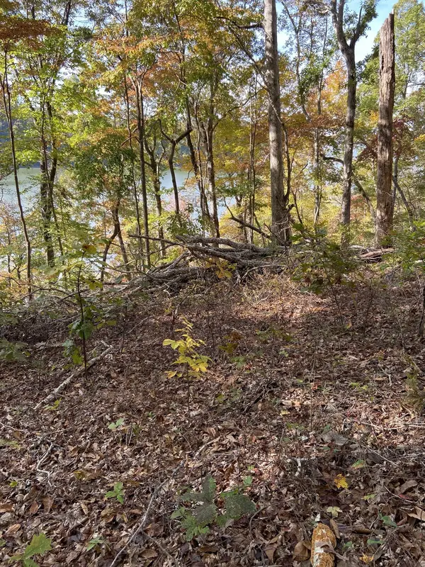 0 Hurricane Creek Road, Stewart, TN 37175