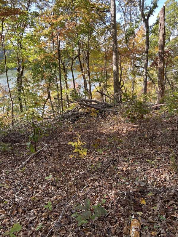 0 Hurricane Creek Road, Stewart, TN 37175