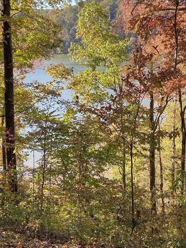 0 Hurricane Creek Road, Stewart, TN 37175