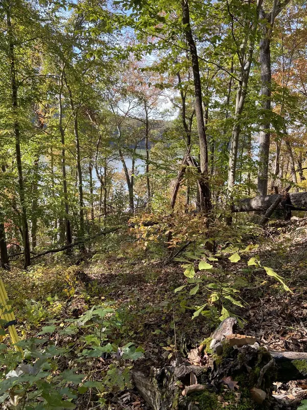 0 Hurricane Creek Road, Stewart, TN 37175