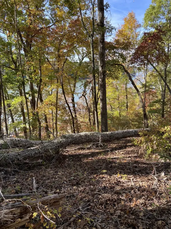 0 Hurricane Creek Road, Stewart, TN 37175