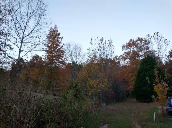 0 Little Marrowbone Road, Ashland City, TN 37015