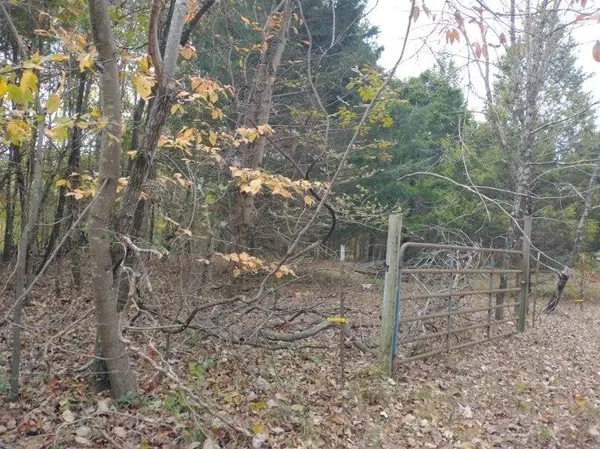 0 Little Marrowbone Road, Ashland City, TN 37015