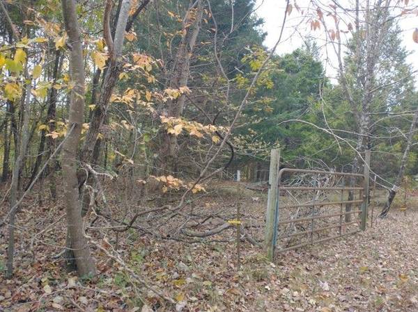 0 Little Marrowbone Road, Ashland City, TN 37015