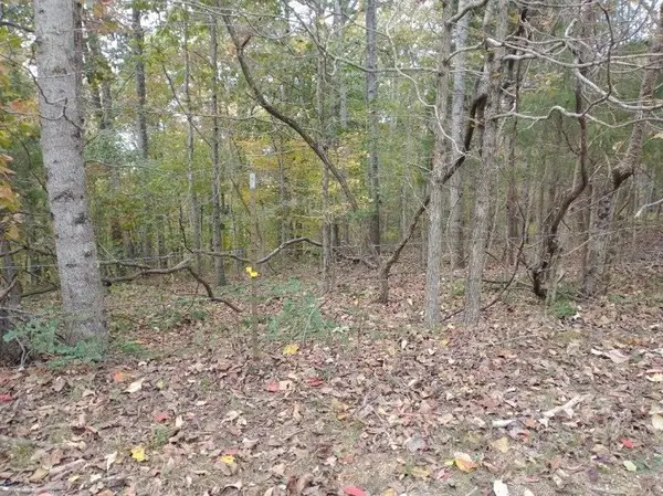 0 Little Marrowbone Road, Ashland City, TN 37015