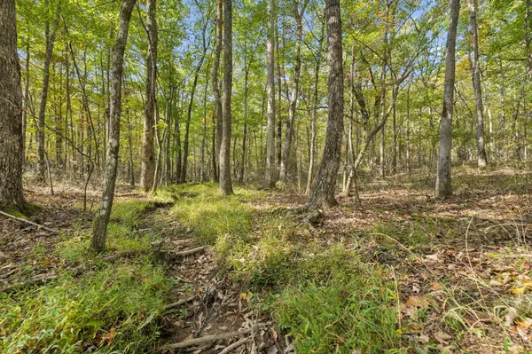0 Timberwood Trace, Monteagle, TN 37356
